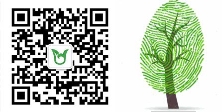 笔韵墨香放异彩，丰富舞台漫云中——广州市白云中学欢迎您