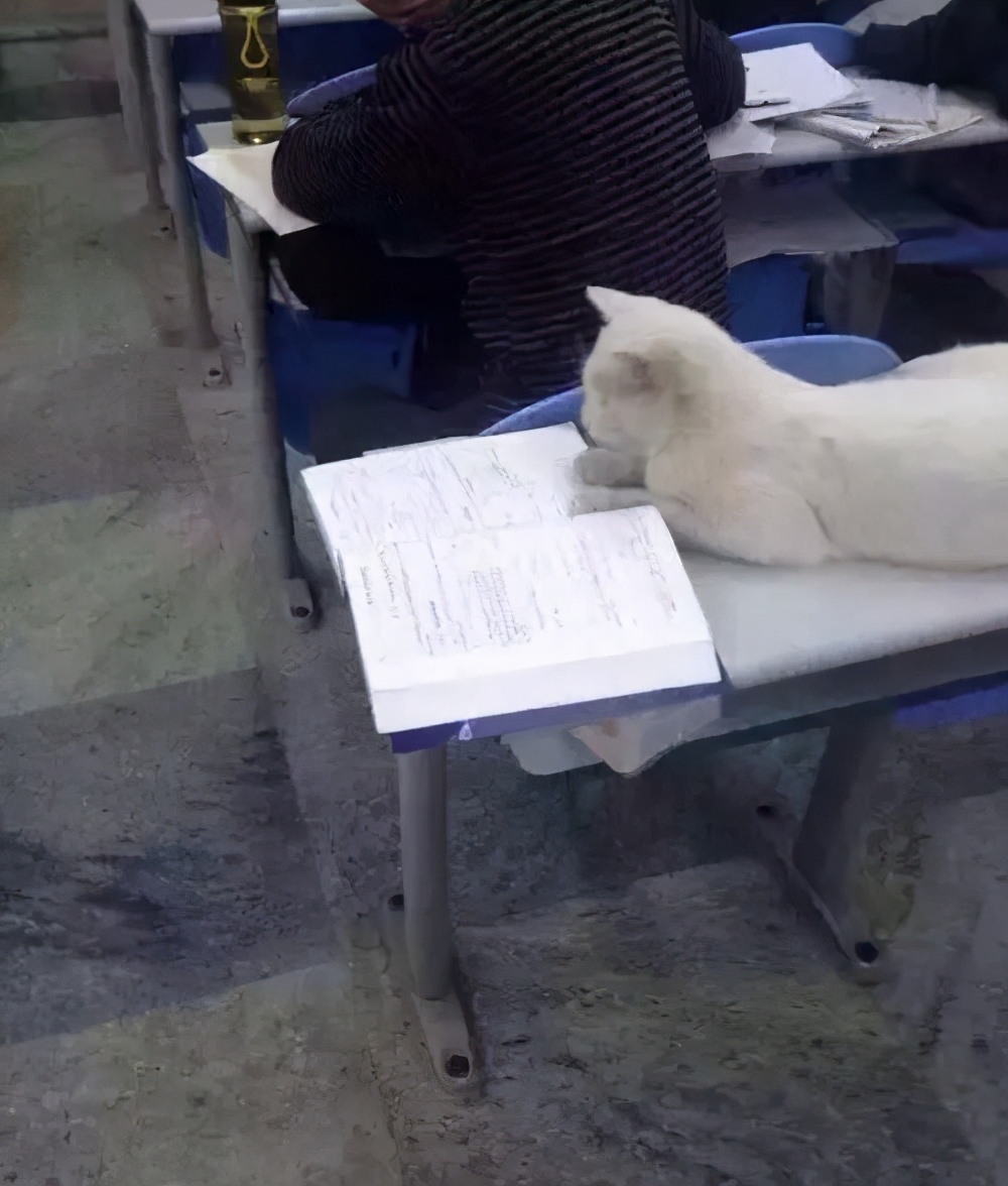 高校收费自习室,高校自习室新模式