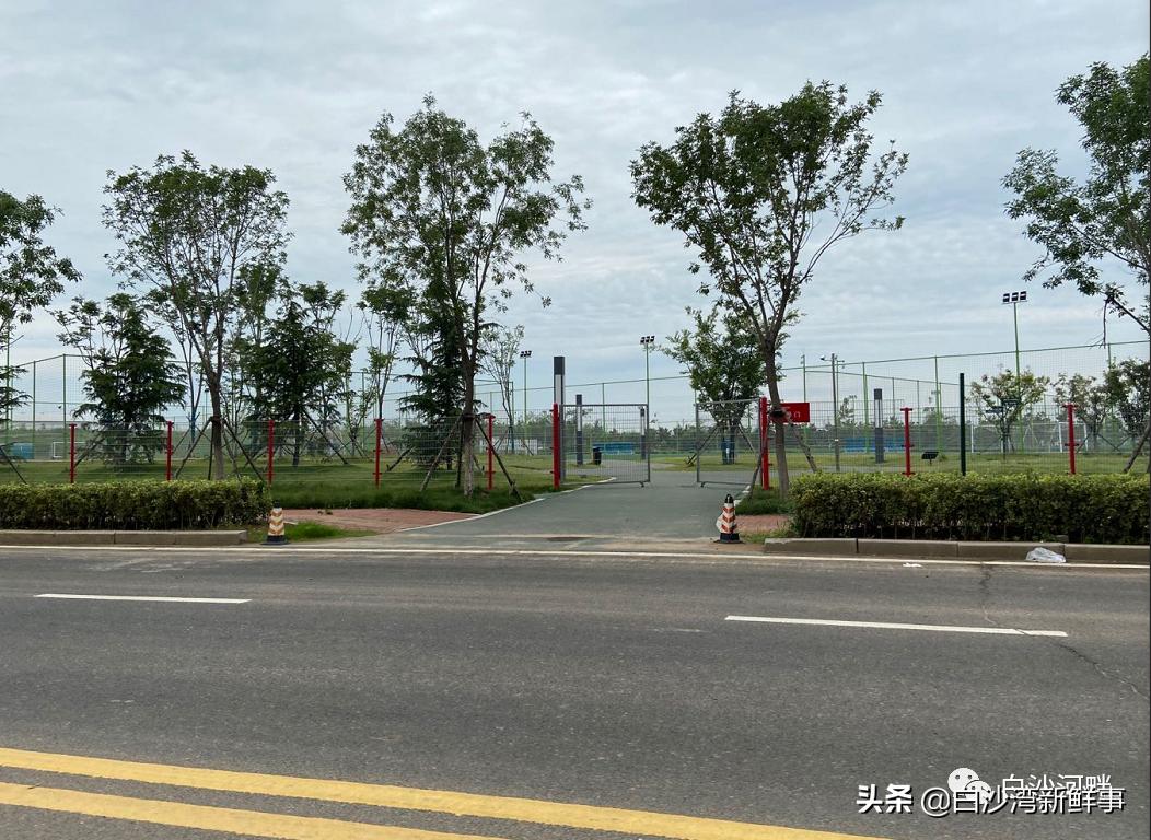 青岛城阳足球场足球赛,2024年青岛足球锦标赛城阳