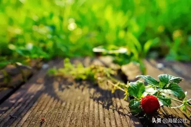 无锡十大免费公园排名榜最新,无锡晚上公园免费景点