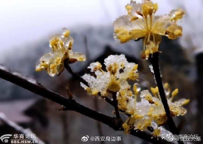 陕西安康14岁少女性侵案,陕西安康13岁女孩遭姑父长期施暴