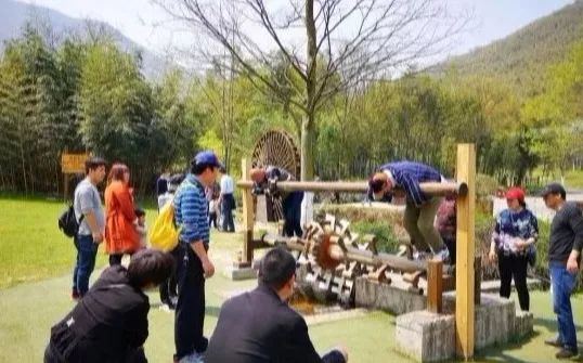 不负假期不负青春,不负韶光享受春日