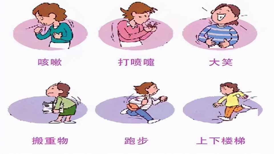 新型癌症你家也有？汽车、宠物体检——你的盆底肌可曾体检？