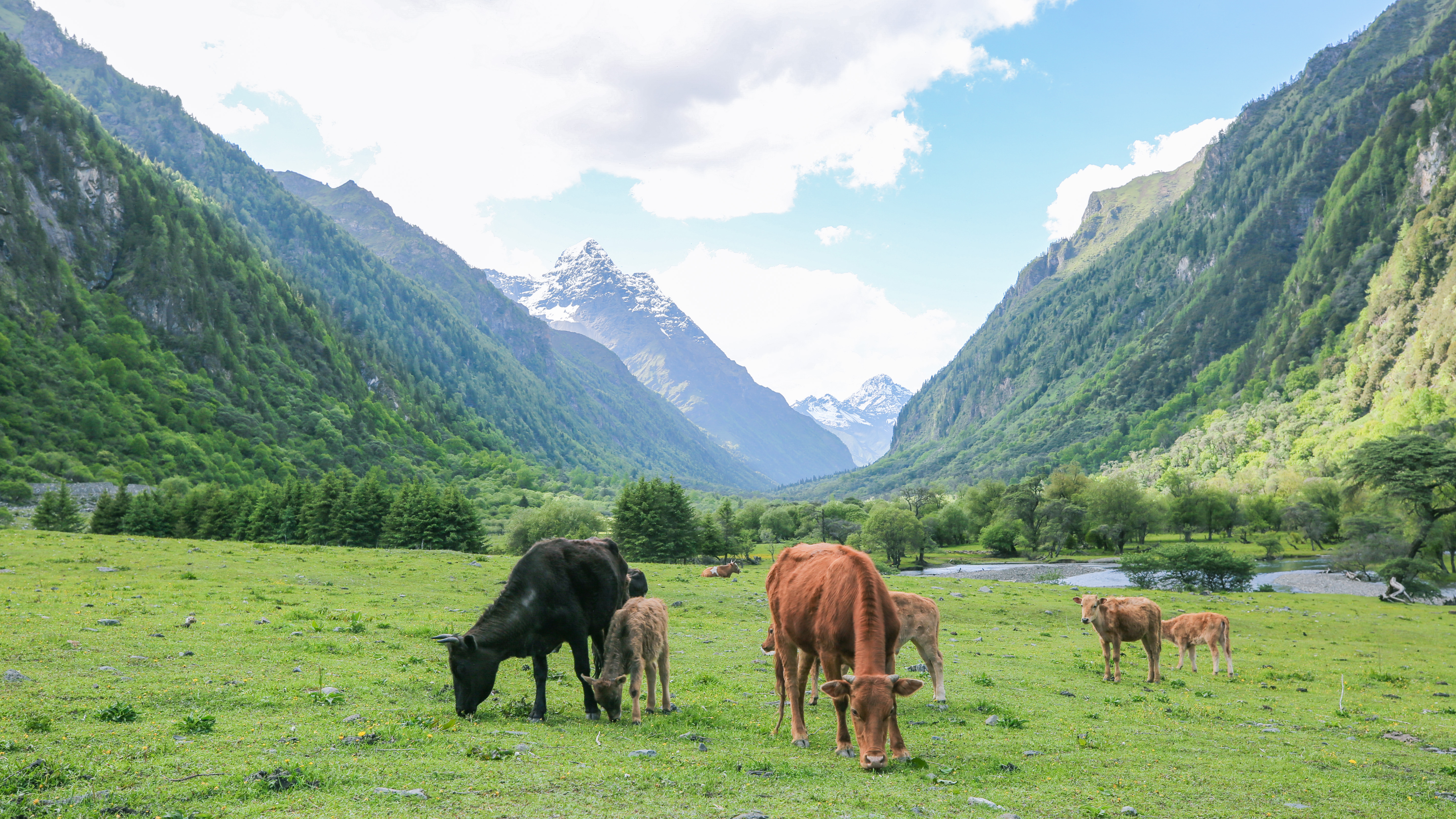 距成都两个小时不拥挤的旅游地,距离成都3个小时的秘境