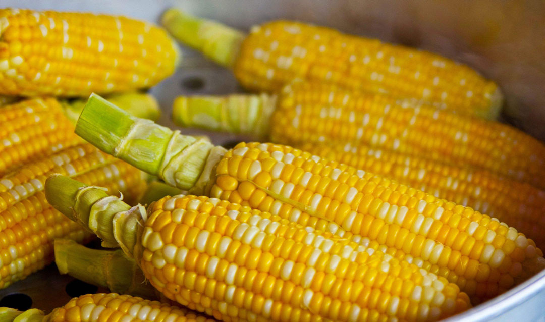 2个月减30斤的秘籍都在这里了,4个月瘦50斤减肥餐