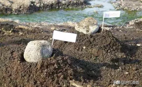 野生养娃、魔幻修路、吃的东西酸爽过头，冰岛这个国家真的好玄幻