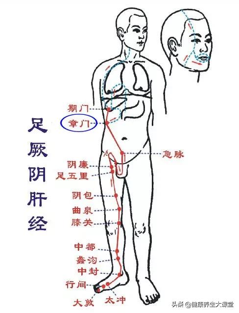 经络不通，补啥都没用？14条经络阻塞后的表现，值得收藏！