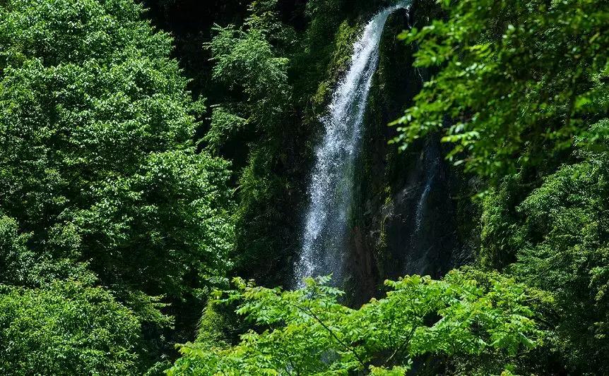 上焦山看云海，奇趣动物之旅，这个地方离成都只有4个小时车程