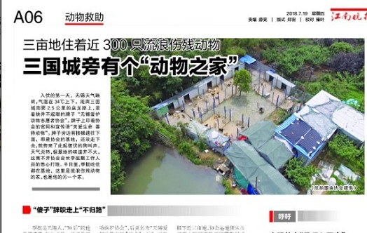 半年来多了百只动物，无锡流浪伤残动物之家等你“带它回家”