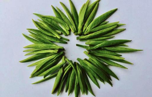 汉中仙毫和安吉白茶的区别 (2023年汉中仙毫春茶上市时间)