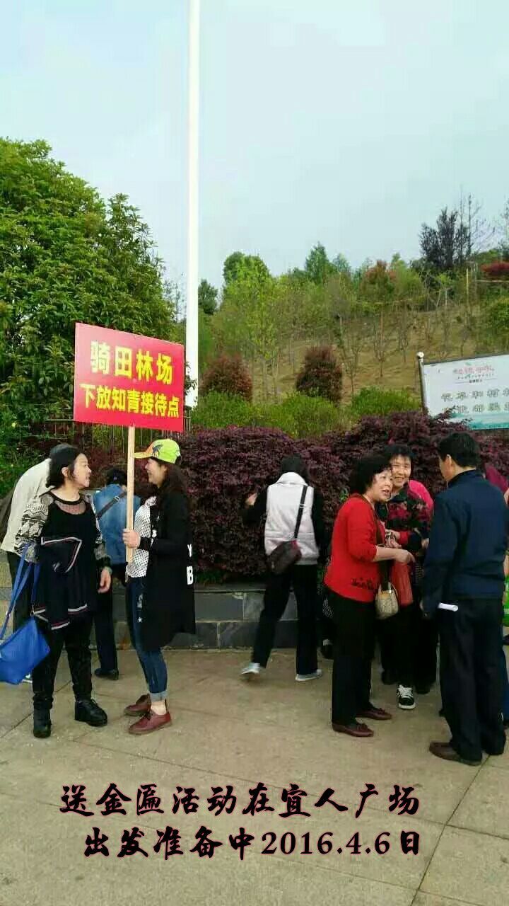 难以释怀的知青情结,60年代的知青情结