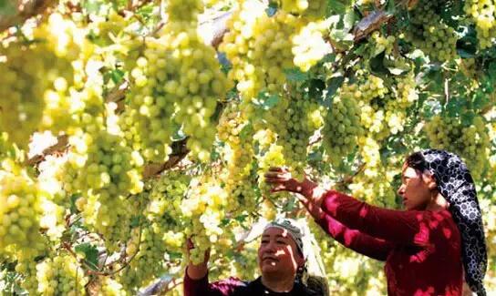 新疆十八怪原版,新疆十八怪风景