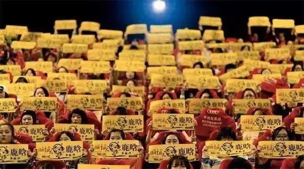 “真”风险，“假”透明，那些年粉丝被应援会割走的韭菜有多少？