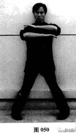 咏春八手招式完整版,咏春八手林正英完整版