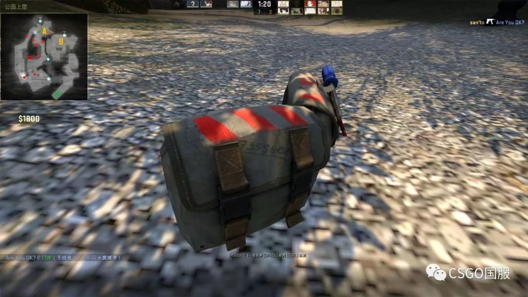 cs20周年皮肤展示,cs皮肤推荐彩蛋