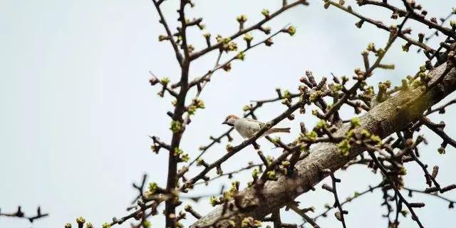 德清最高峰上的云端民宿，躺在离星空最近的床上