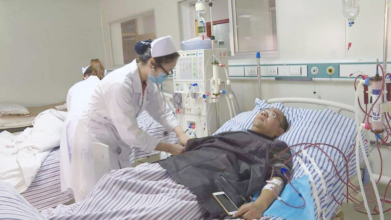 尿毒症肾移植和透析的利与弊,尿毒症透析病人的福利干细胞移植