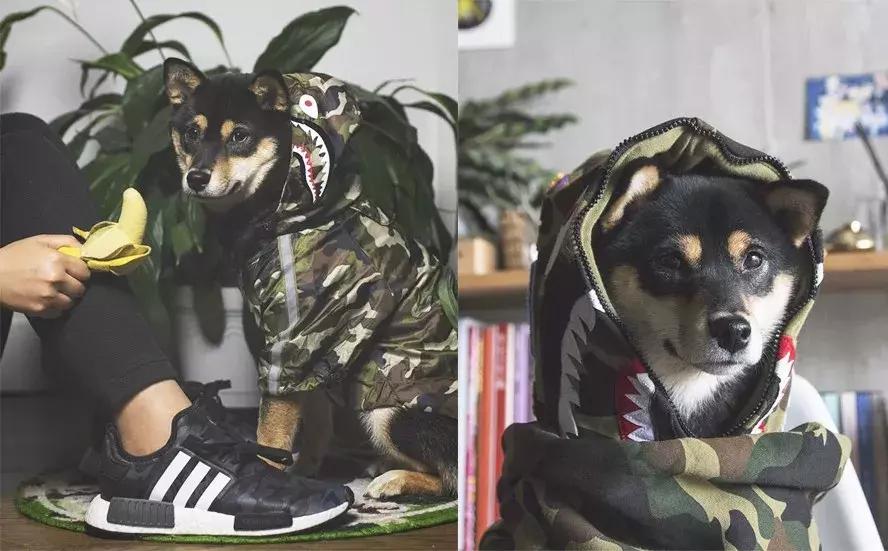 gucci和supreme联名马丁靴,guccisupreme鞋子