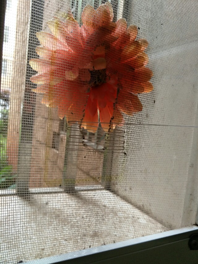 纱窗破了的小洞怎么样补比较美观,纱窗破了修补的妙招