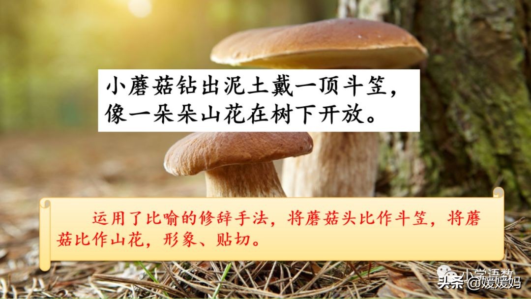 三年级语文第17课童年的水墨画,三年级下册语文第18课水墨画