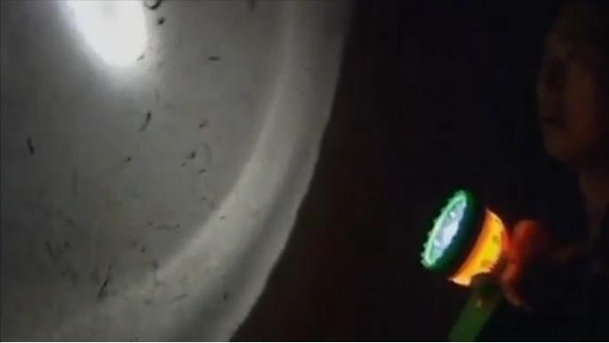 毒蝎进村的真实事件,毒蝎进村的真实原因