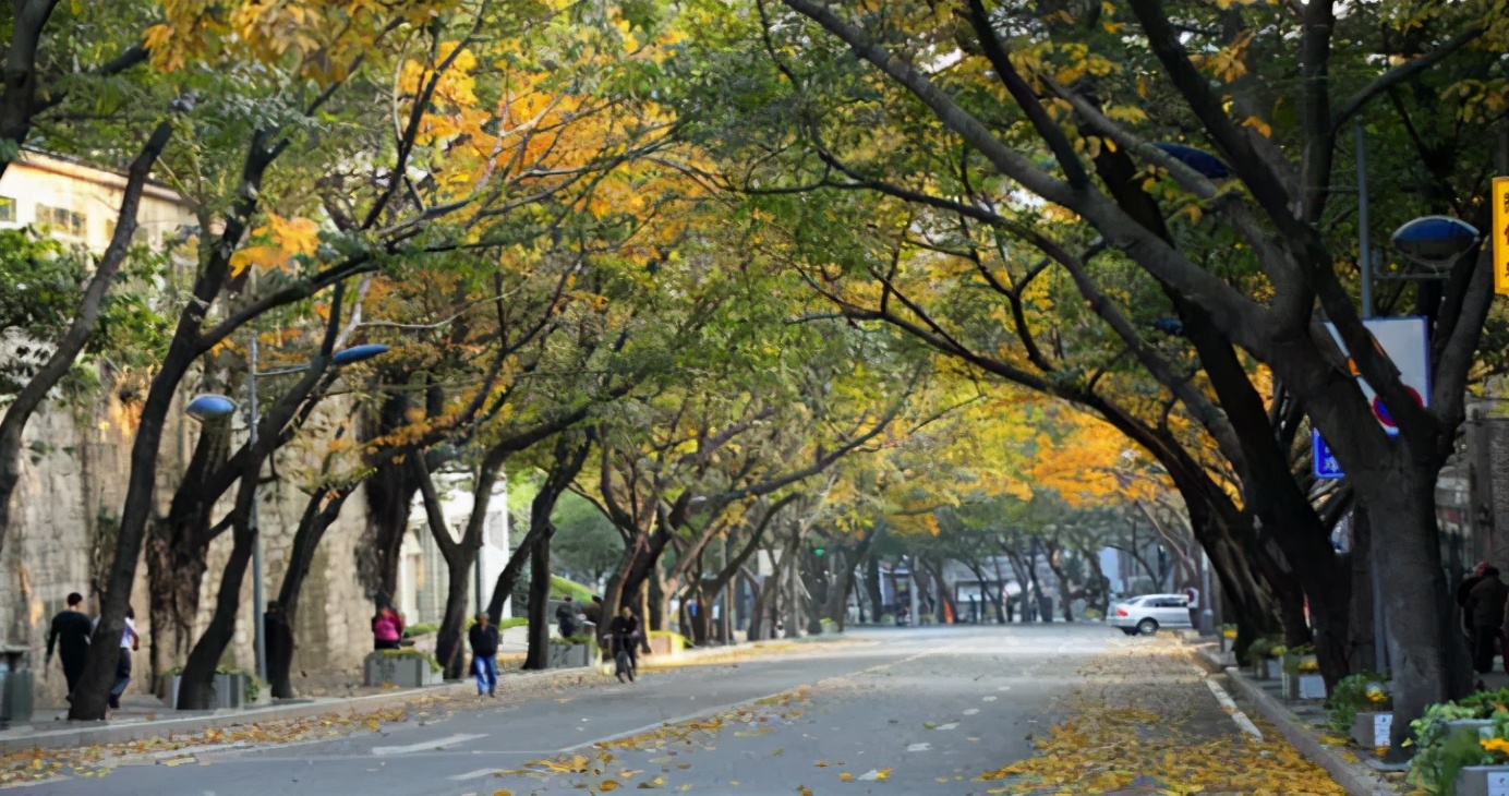 重庆哪所学校环境最好,重庆环境最差的学校