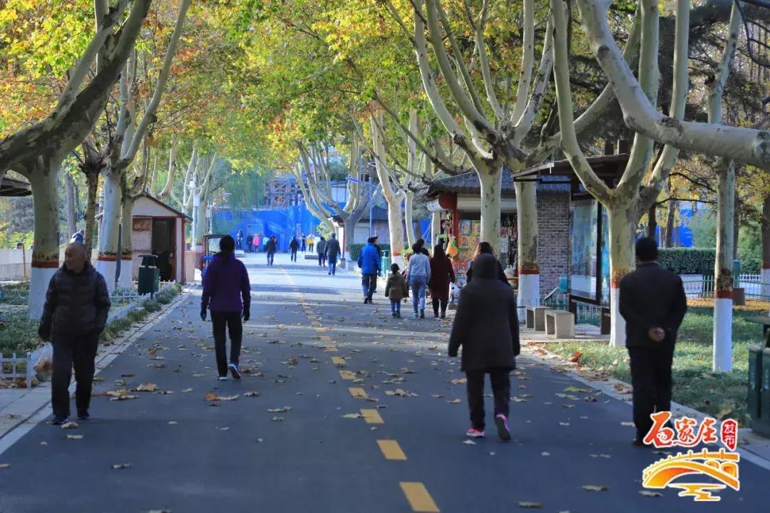 四十年前石家庄街景视频,石家庄40年