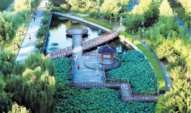 湖北武汉好消息,好消息武汉完整版