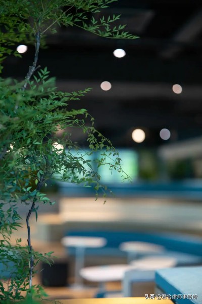 一家红圈律所的极致“凡尔赛”