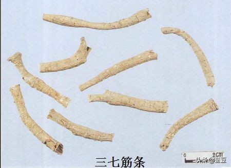 中药材伪品太多，俗有南国神草之称的三七，就有十多种假货