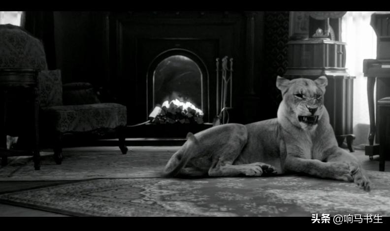 比电影还要迷人的MV：周杰伦的迷雾、薛之谦的脑力、华晨宇的呼吁