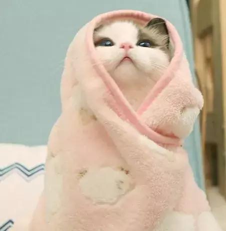 只要不停产会一直回购的化妆品,十大最不建议买的水乳