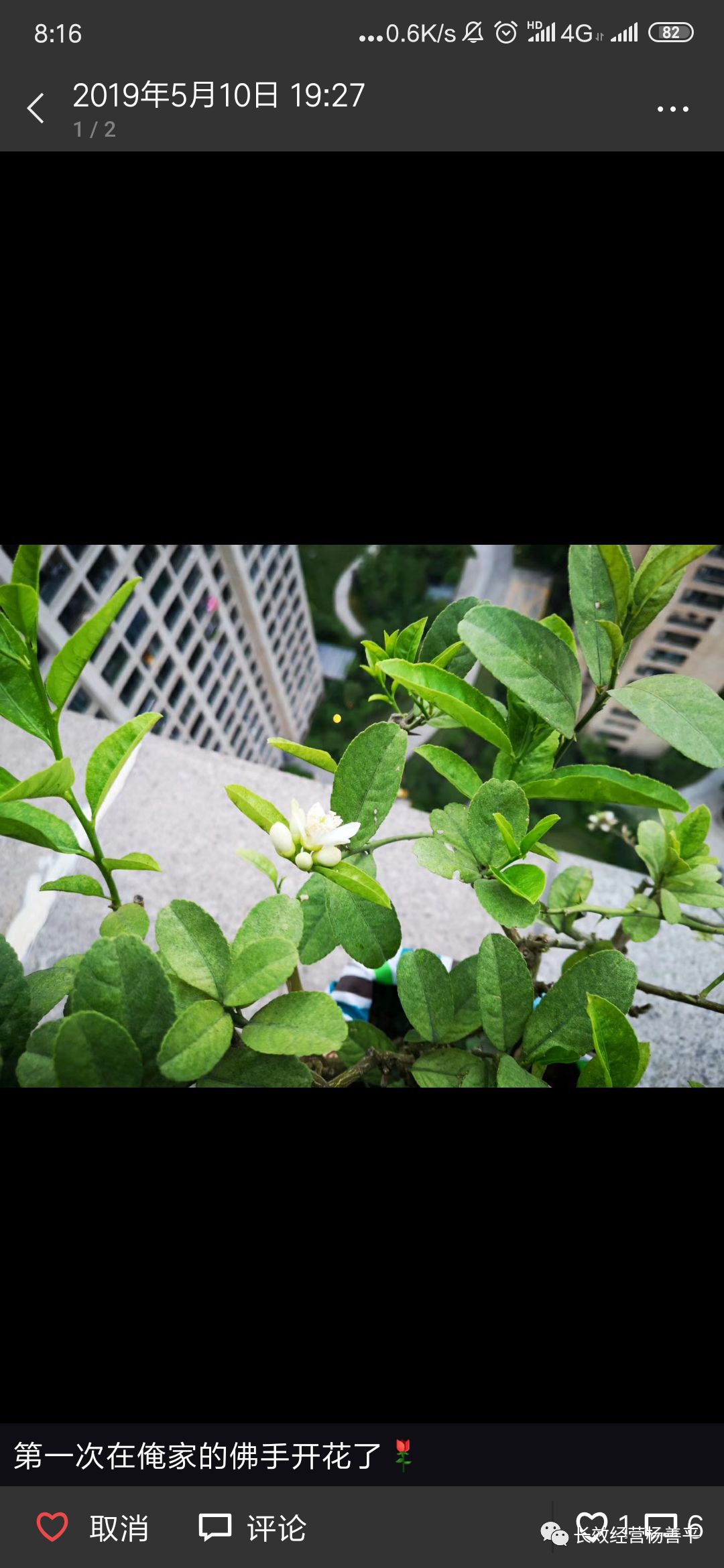 杨善平上善若水,杨善平视频全集