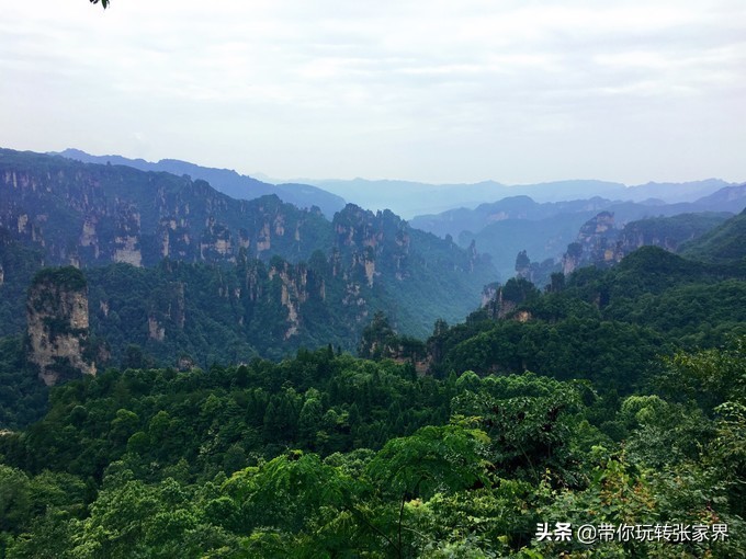 到张家界天门山自助游价格多少钱,武汉到张家界天门山三日游