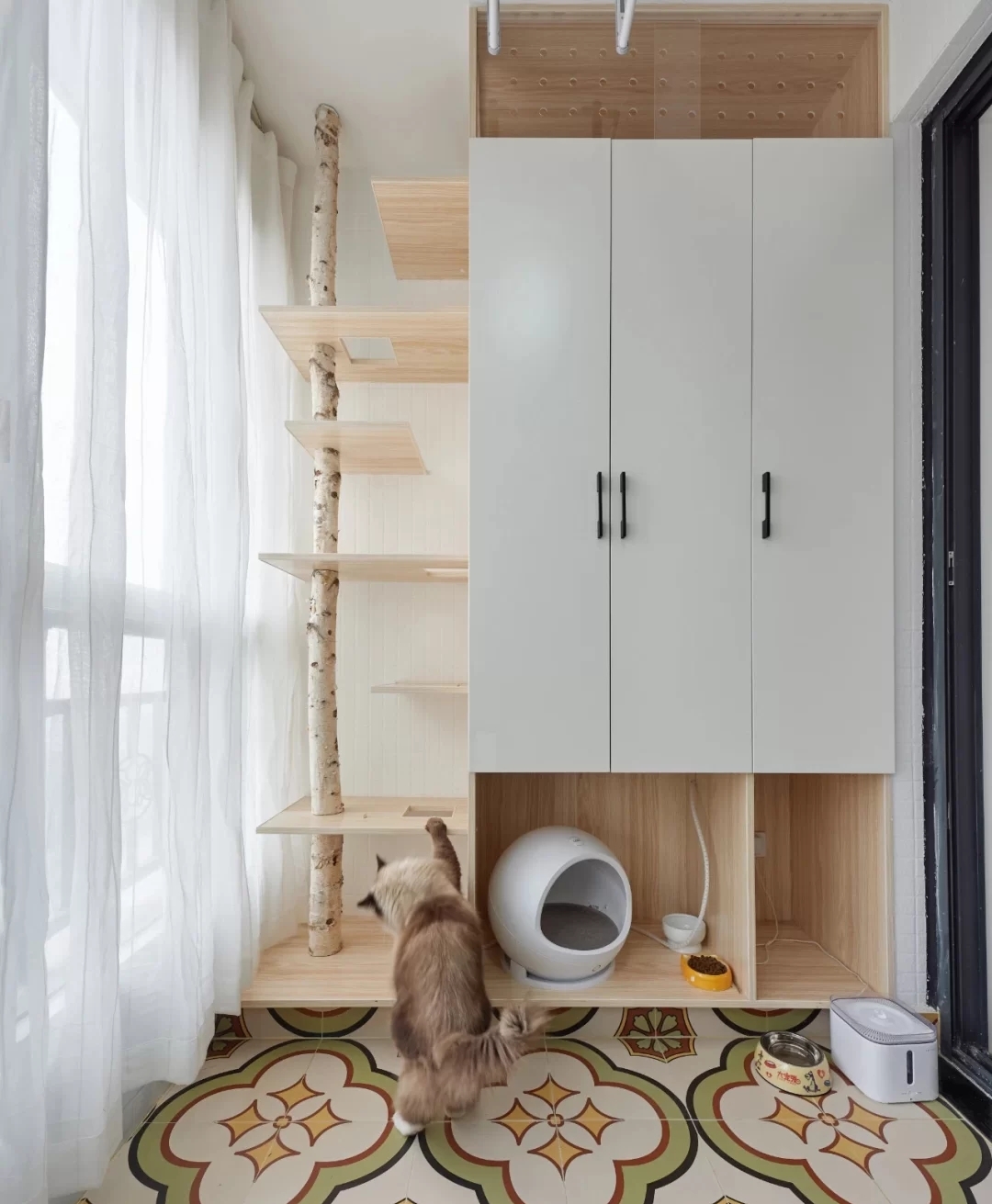 新手养猫必备好物新手铲屎官必看,养猫家庭装修要注意什么