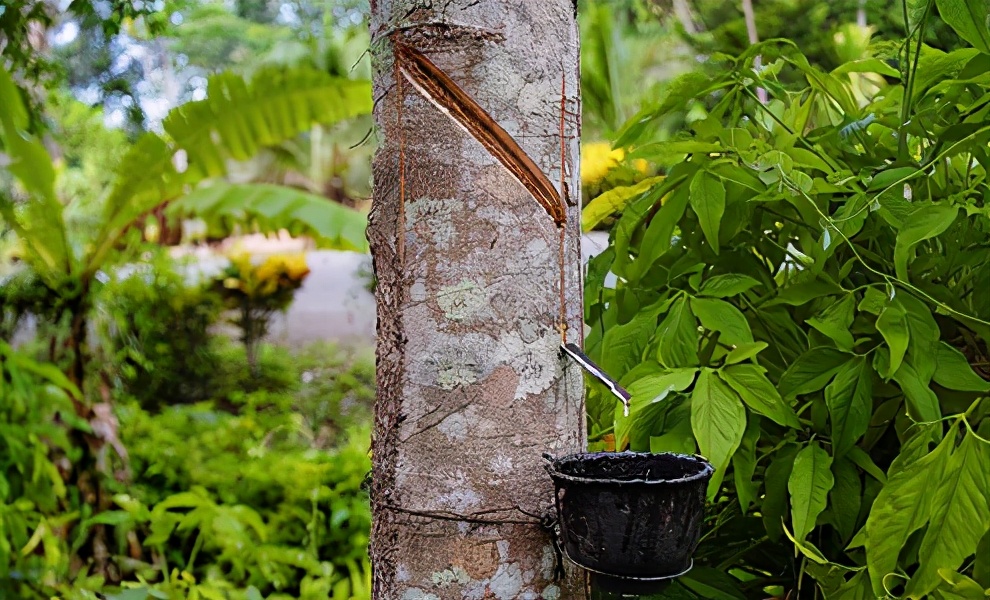 合成橡胶和天然橡胶轮胎的差别,真正的轮胎底子