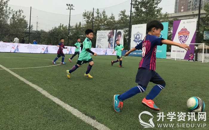 小学心理健康教育教师招聘资料,成都市心理教师招聘