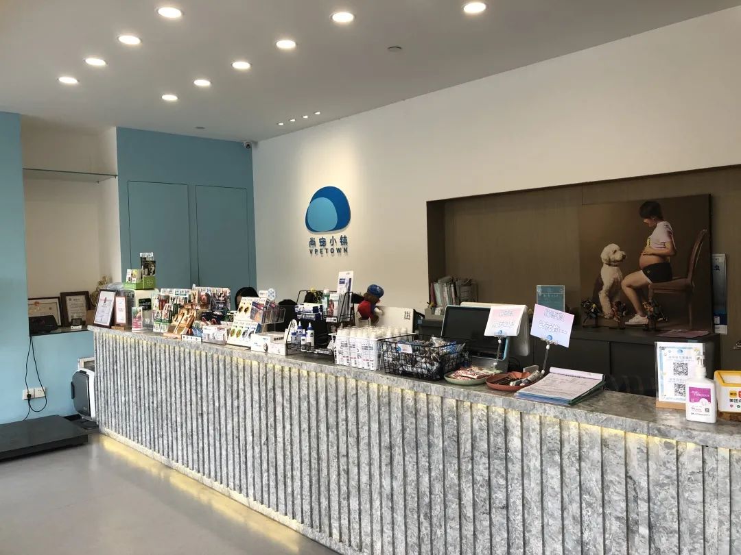 欢迎同行入内，这是一家为宠物店而开的宠物