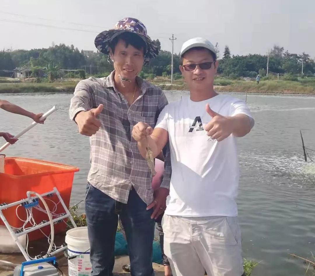 南美白对虾养虾一亩一般赚多少,小拱棚对虾养殖秘籍