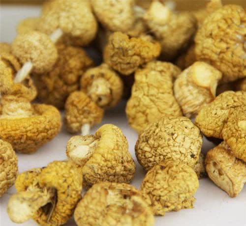 青海特产大全推荐,青海格尔木市有什么特产