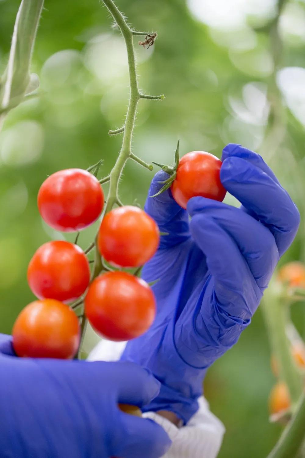 云南大理中千万大奖,大理刮出80万大奖