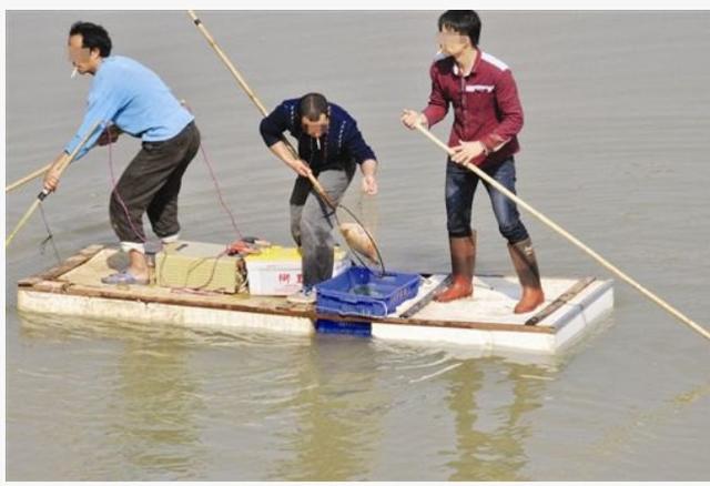 野钓鱼资源匮乏怎么办好,野钓资源匮乏是怎么造成的