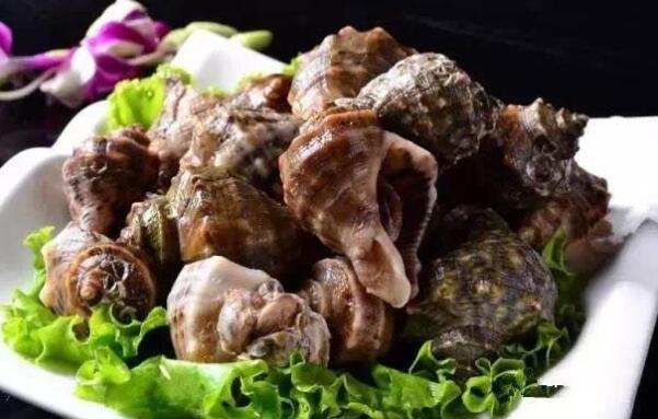 这个季节不能吃的海螺,海边人吃海螺的正确吃法