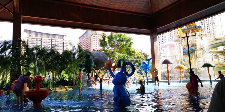 三亚红树林有亲子活动,三亚红树林和海韵