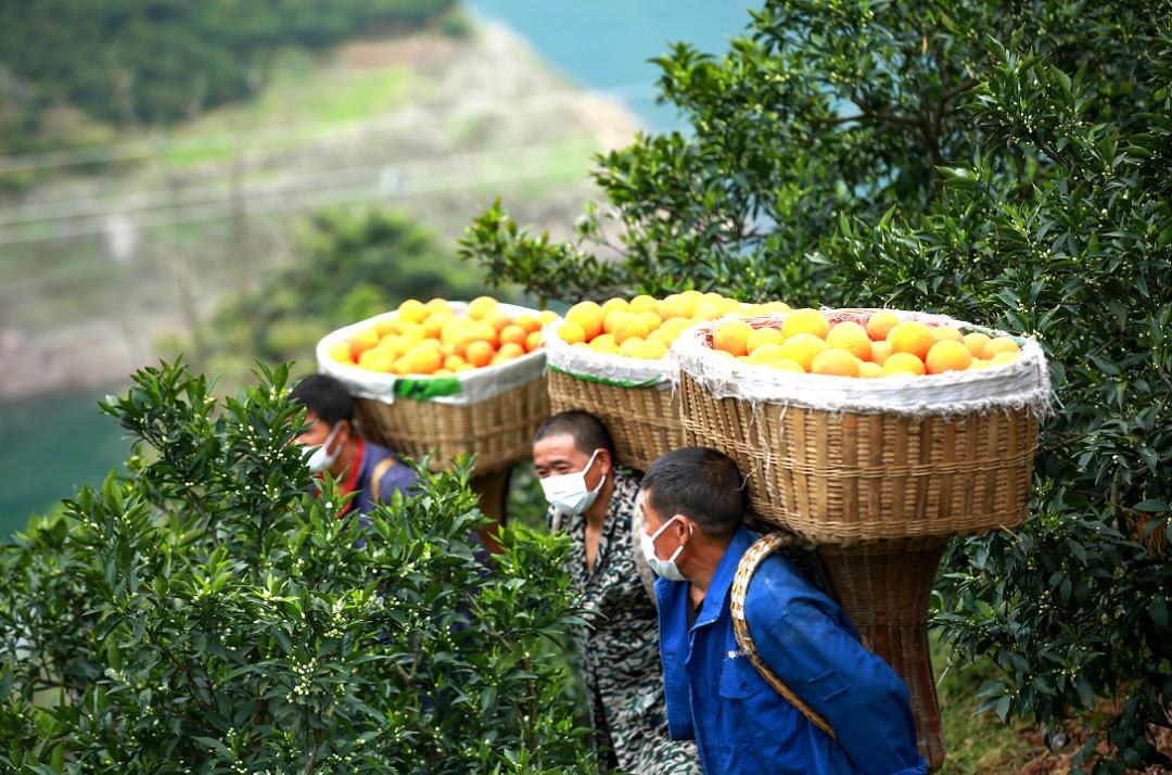 中国经济当前最难的一道题，淘宝给了个解法