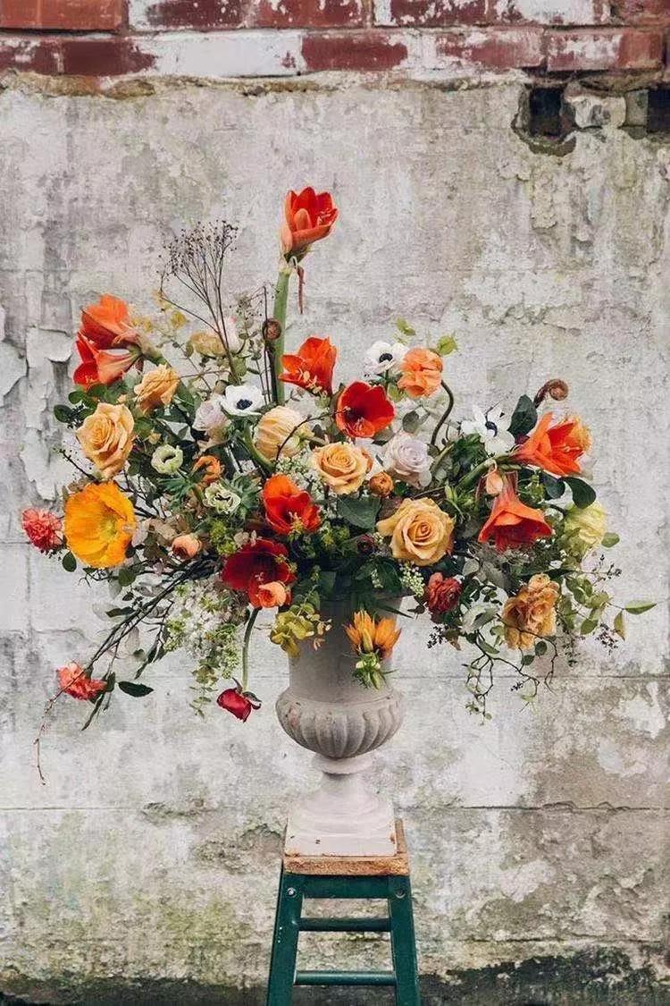 买花的套路和策略,买花的三个陷阱