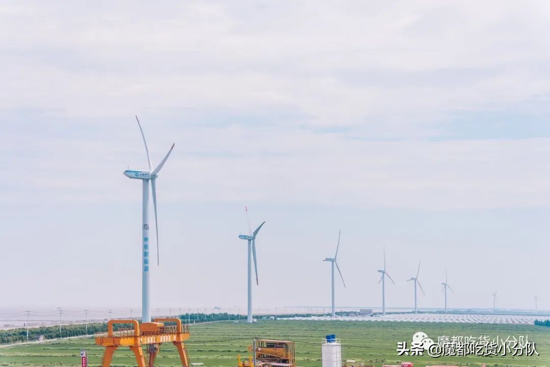 崇明岛地理位置独特,崇明岛过度开发