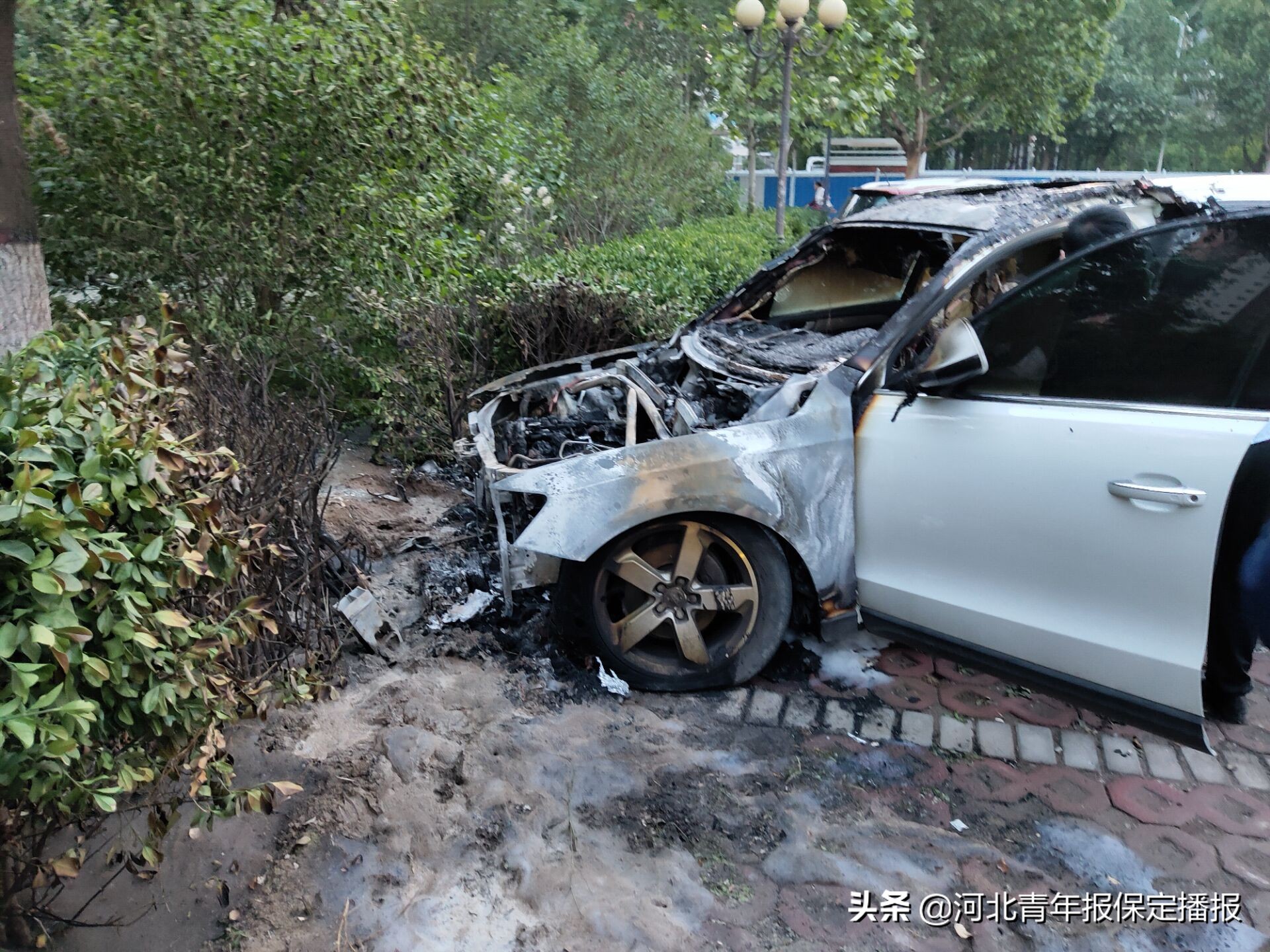 保定小区着火最新消息,小区着火最新事件保定