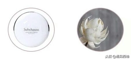 气垫哪一款比较好用,气垫推荐公认好用第一名红黑