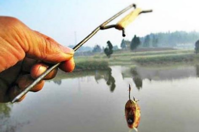 鲫鱼特殊钓法,天气一热我就脾气暴躁